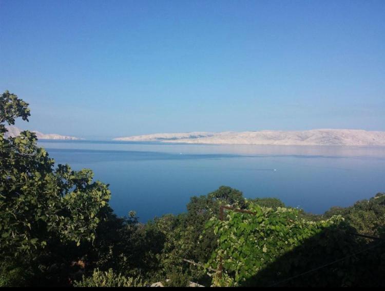 Milojka Apartment Senj  Bagian luar foto