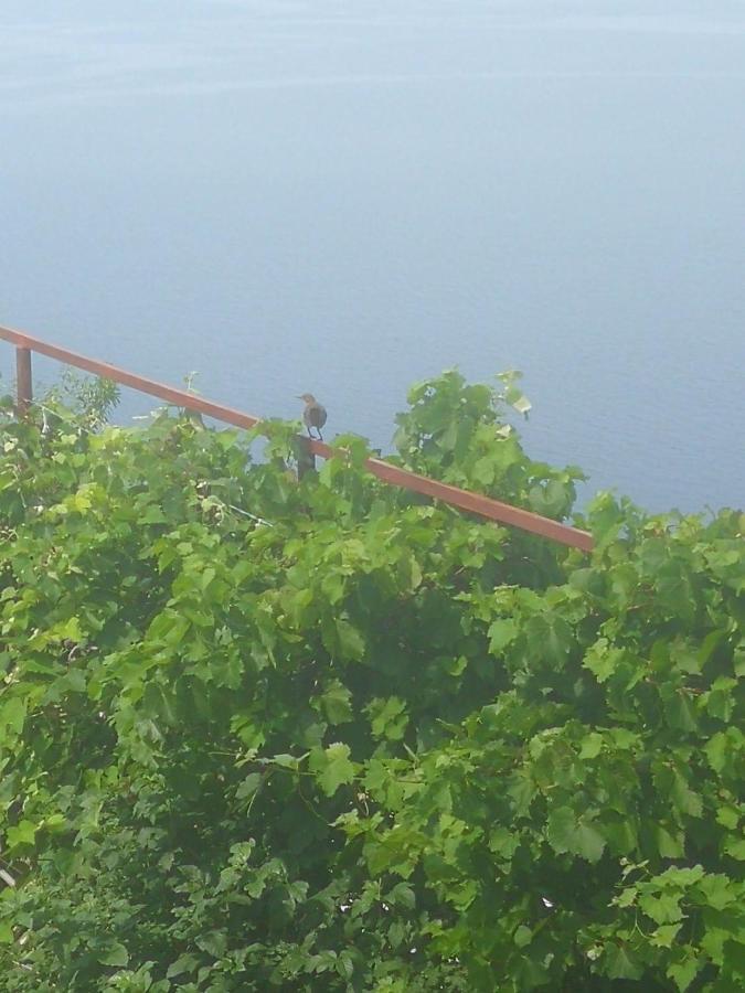 Milojka Apartment Senj  Bagian luar foto