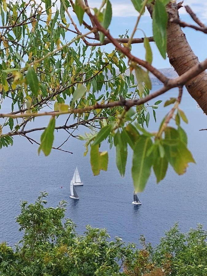 Milojka Apartment Senj  Bagian luar foto