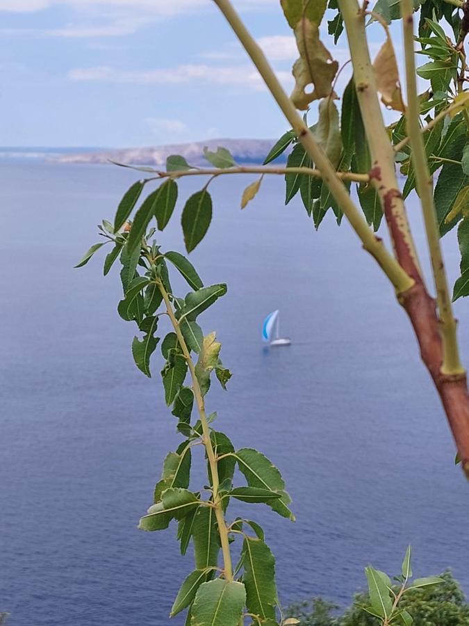 Milojka Apartment Senj  Bagian luar foto